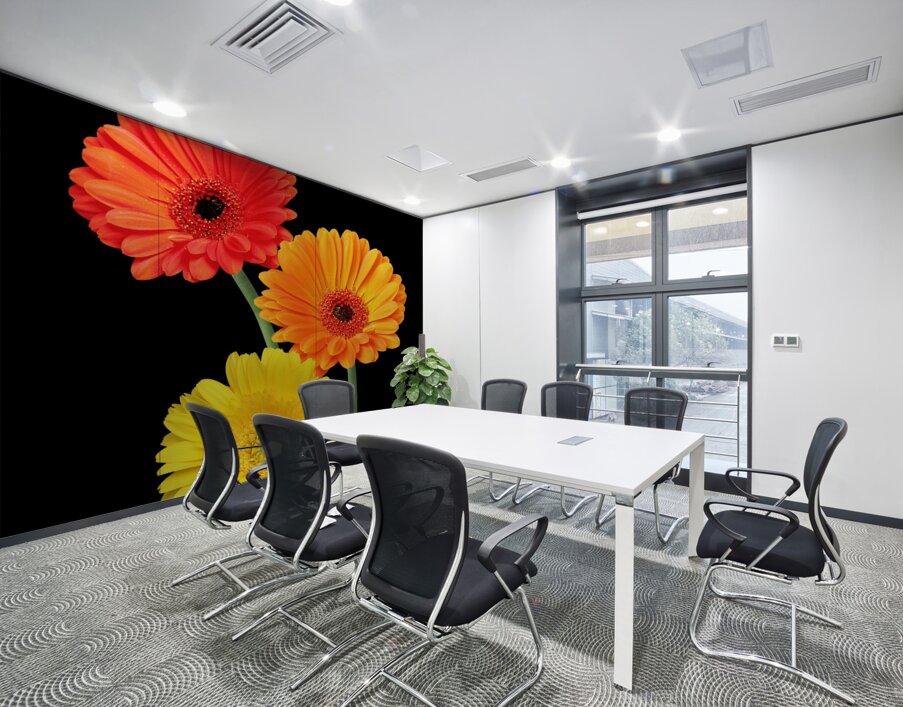 Sunny Gerbera Daisies On Black Wall Printing
