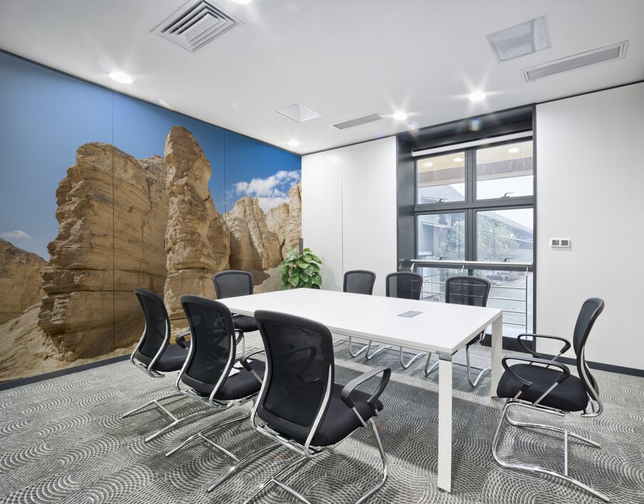 IMG 8112 Wall Printing