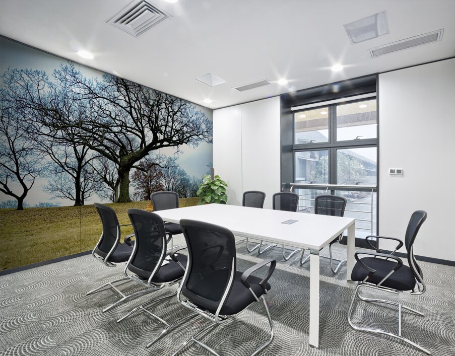 IMG 5059 Wall Printing