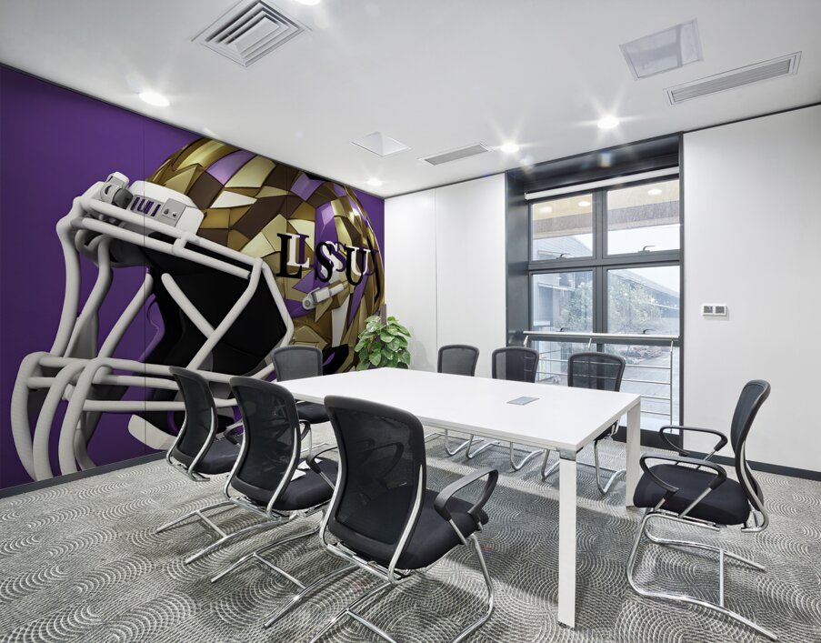 L S U 3D Wall Printing