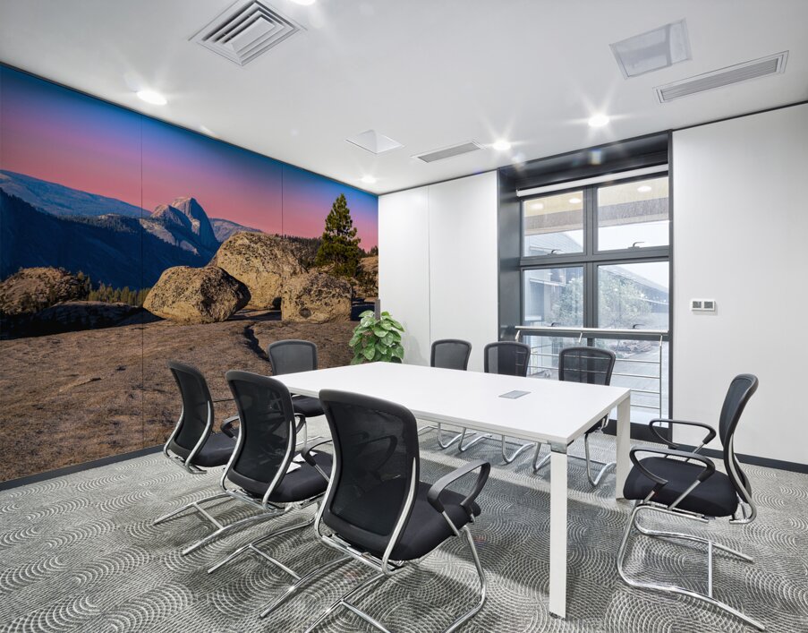 Half Dome from Behind Wall Printing