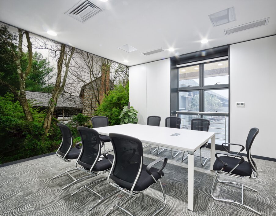 Historic Rocky Mount Wall Printing