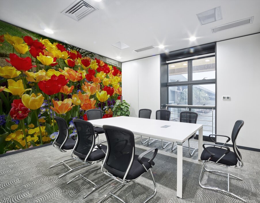 Tulip Garden Wall Printing