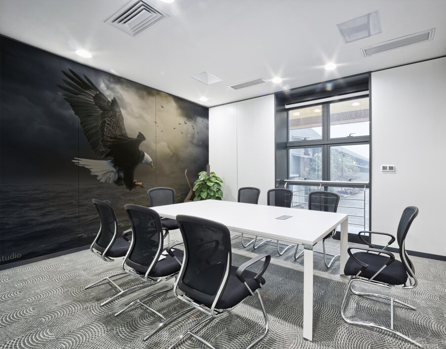 The girl and the eagle Wall Printing