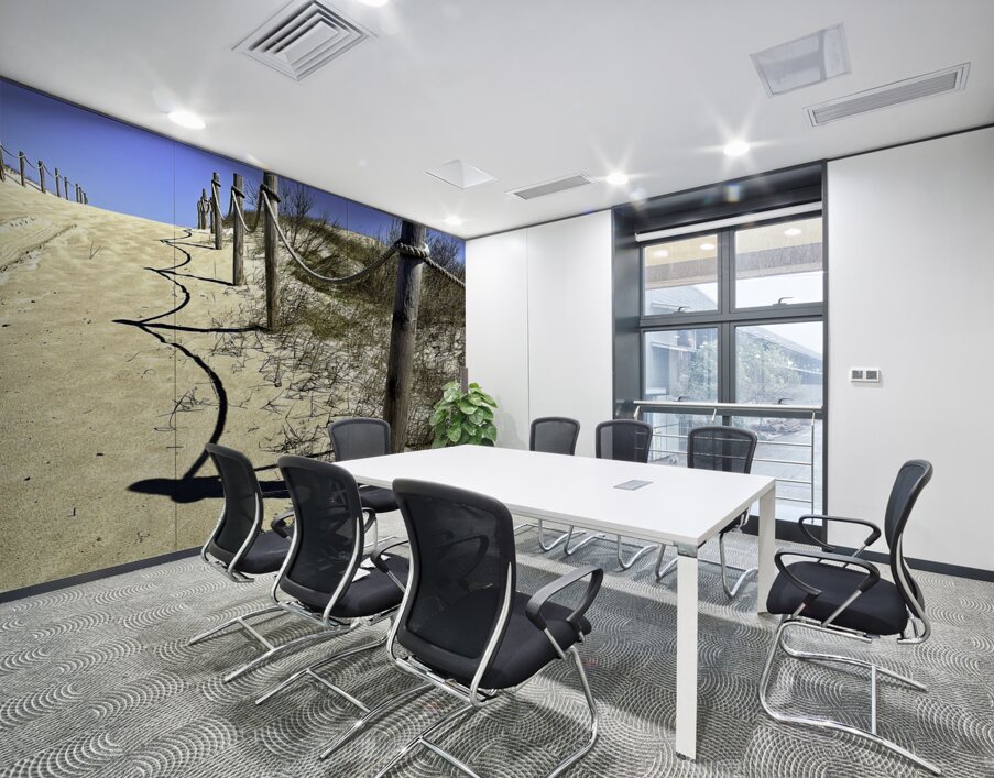 Pathway Across a Dune to the Beach Wall Printing