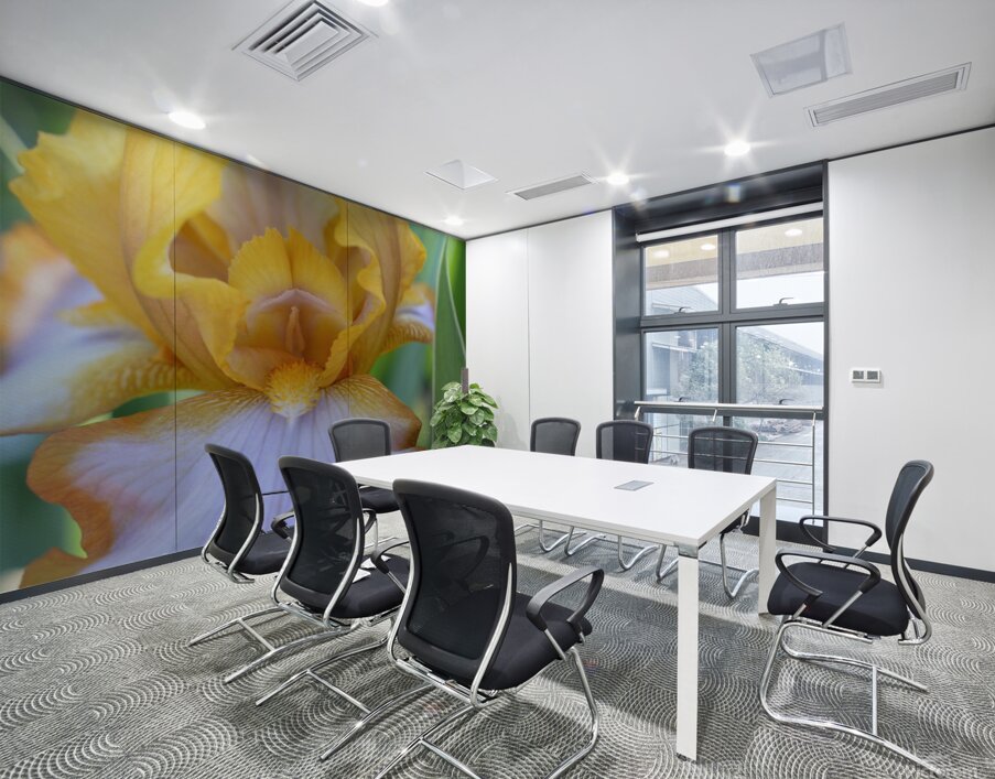 Orange Iris Wall Printing