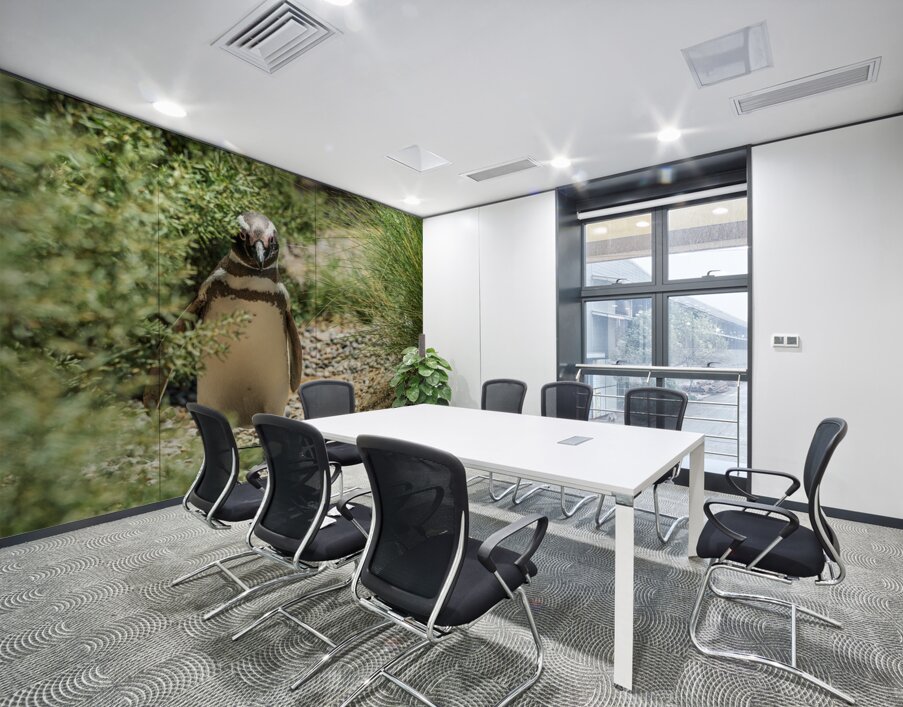 Single male magellanic penguin in plants in Punta Tombo Wall Printing