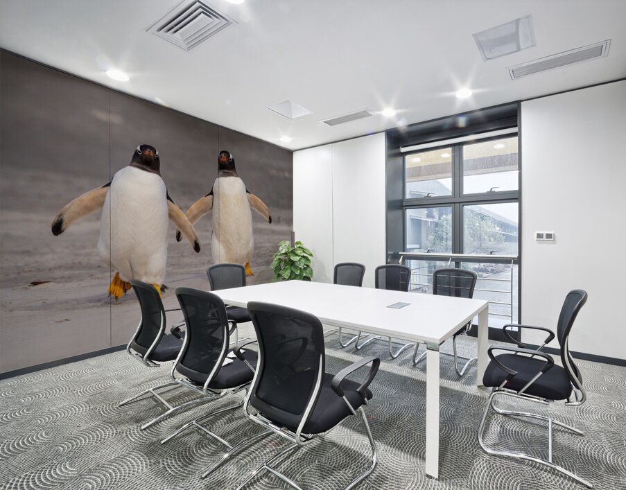Two Gentoo penguins at Bluff Cove on Falklands walking to ocean Wall Printing