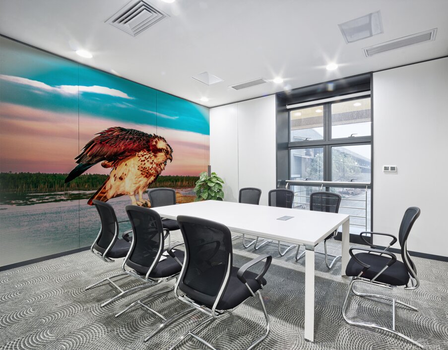 Care a Lot Osprey Wall Printing