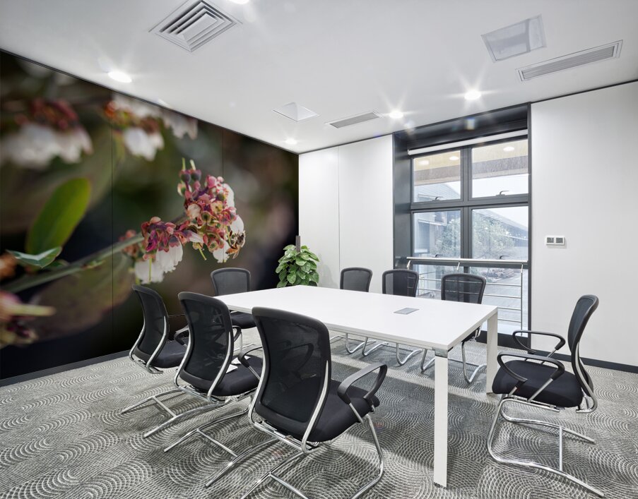 IMG 1002 Wall Printing