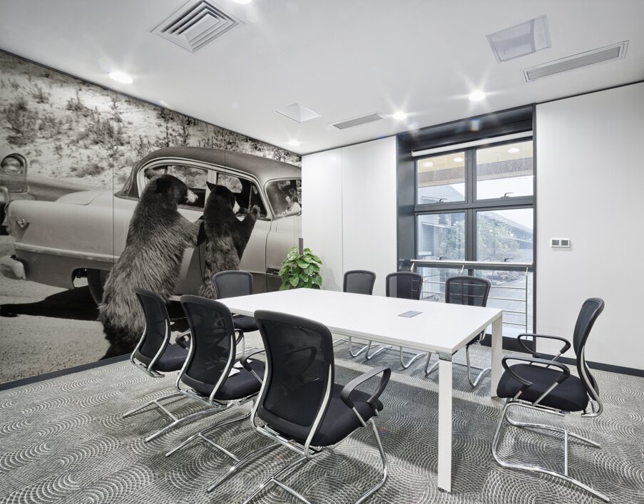 1950s TWO BLACK BEARS STANDING AT WINDOWS OF CAR 229783 Wall Printing