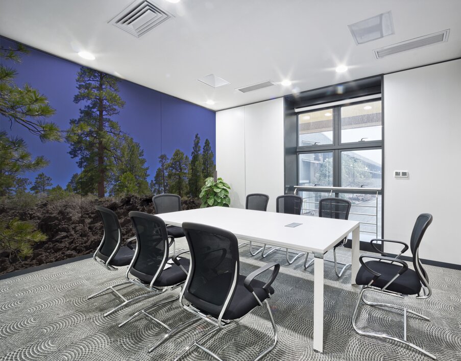 Sunset Crater Volcano National Monument AZ 46 36. Wall Printing