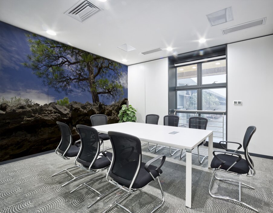 Sunset Crater Volcano National Monument AZ 46 15. Wall Printing