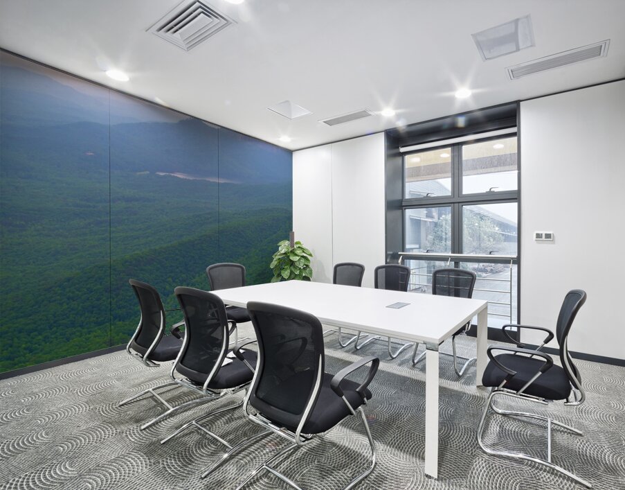 DSC 0076 Wall Printing