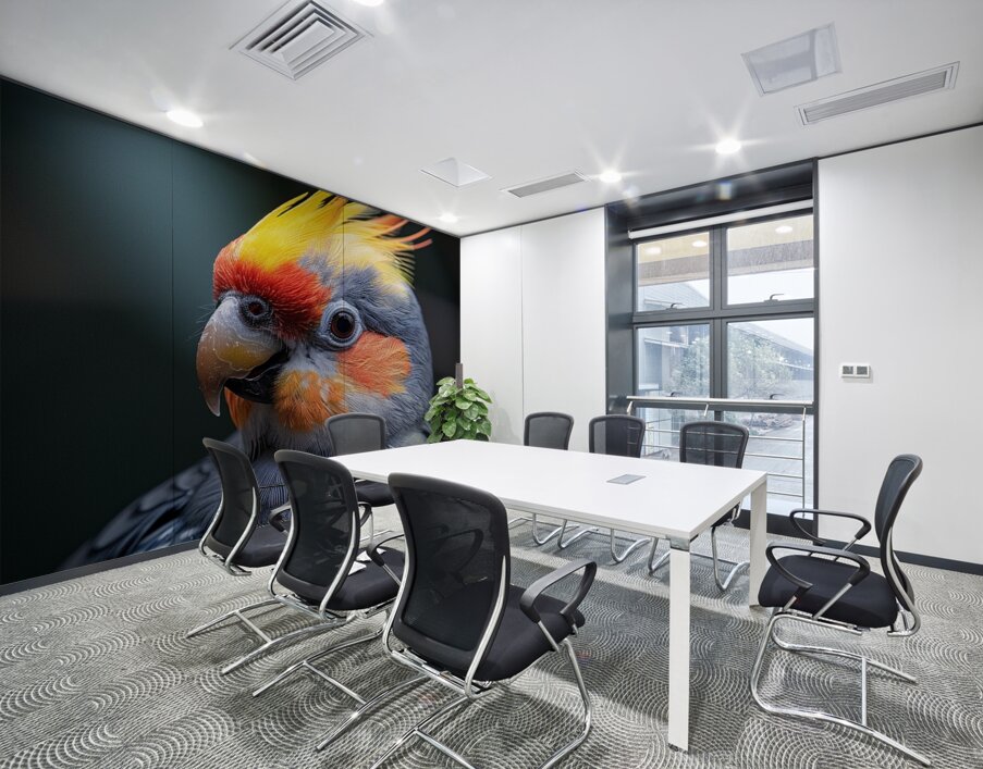 Cockatiel Bird Wall Printing