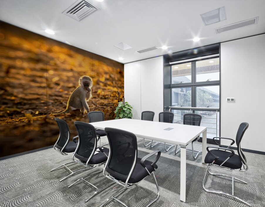 Baby Vervet monkey Wall Printing