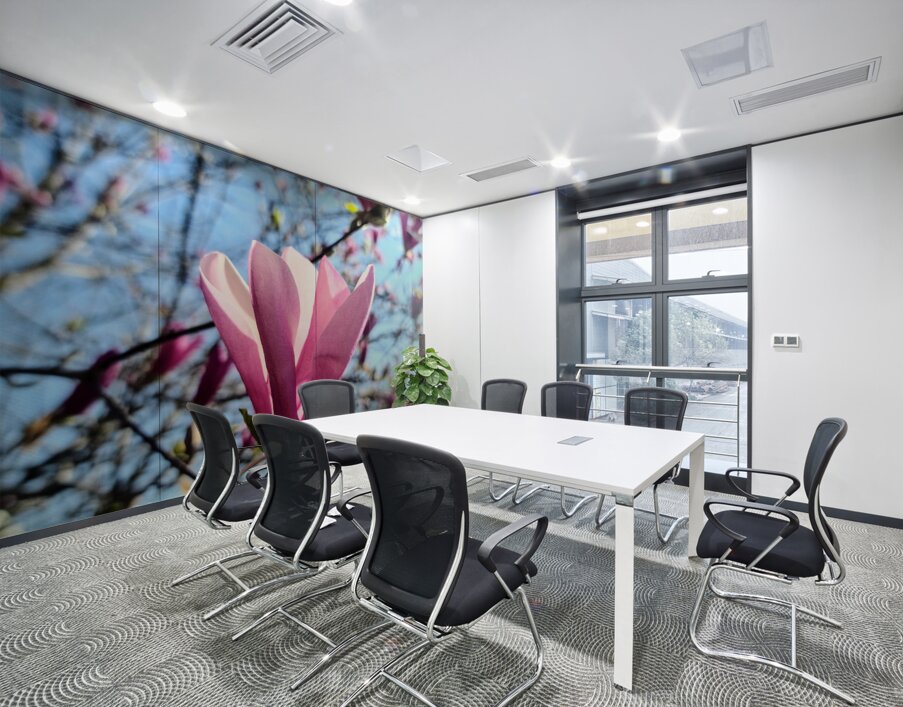 A Magnolias First Embrace of Light Wall Printing