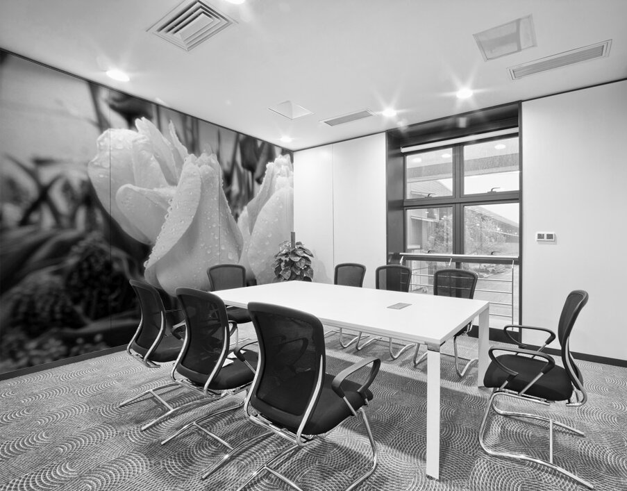 DSC 7270 1 Wall Printing