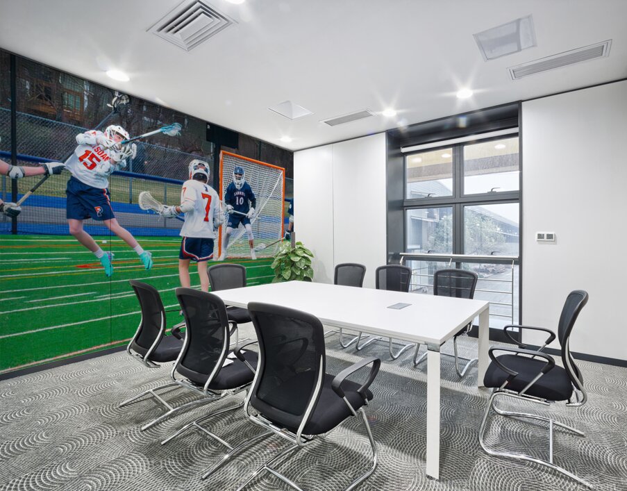 Potsdam Lacrosse Wall Printing