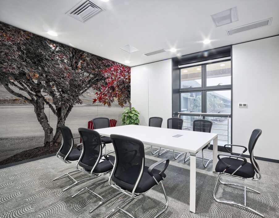 FS210731 RED CHAIRS Wall Printing