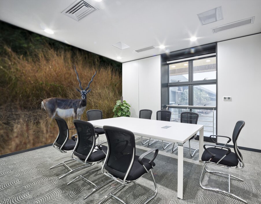 Blackbuck  Wall Printing