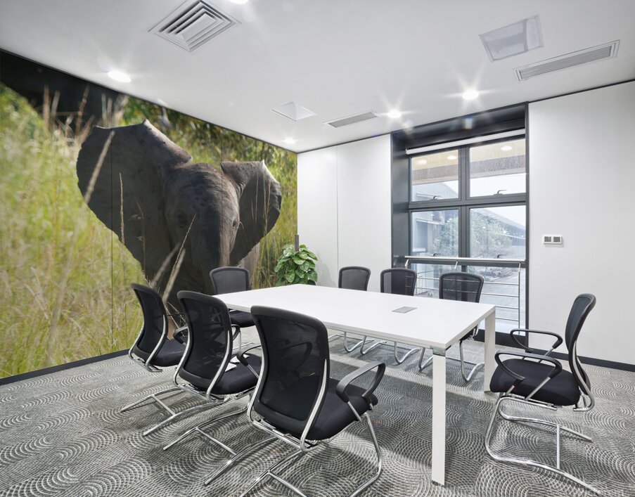 P1000407 copy Wall Printing