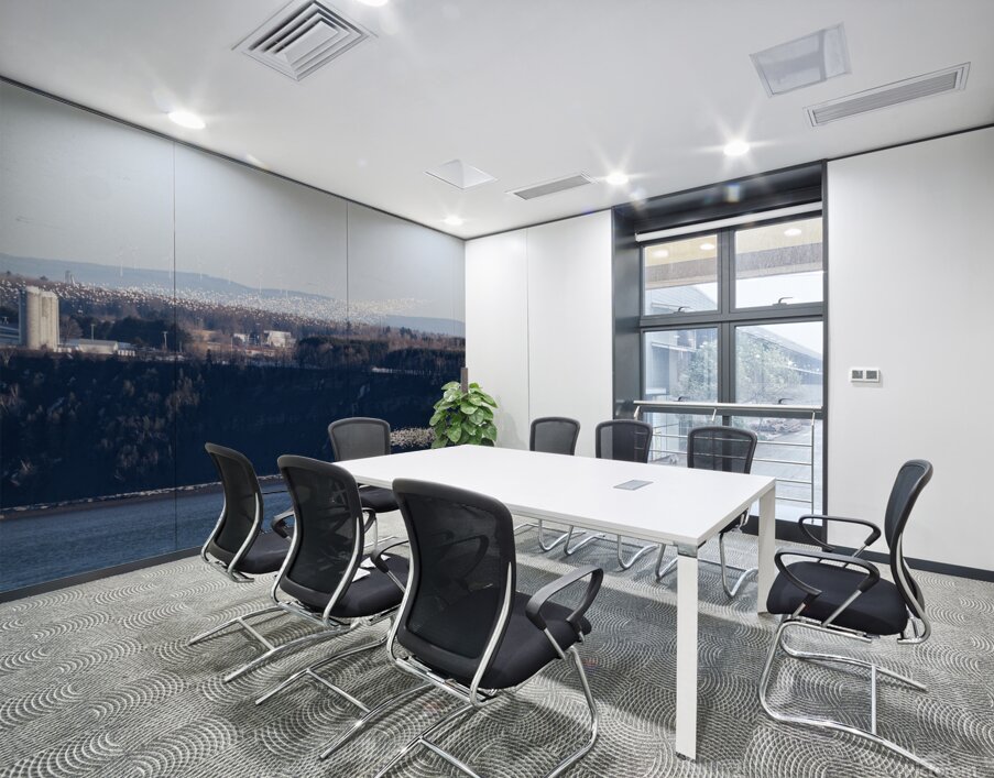 Oies blanches 1 Wall Printing