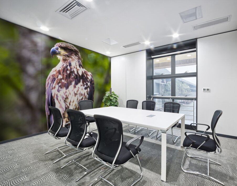 Alaska Juvenile Eagle Wall Printing