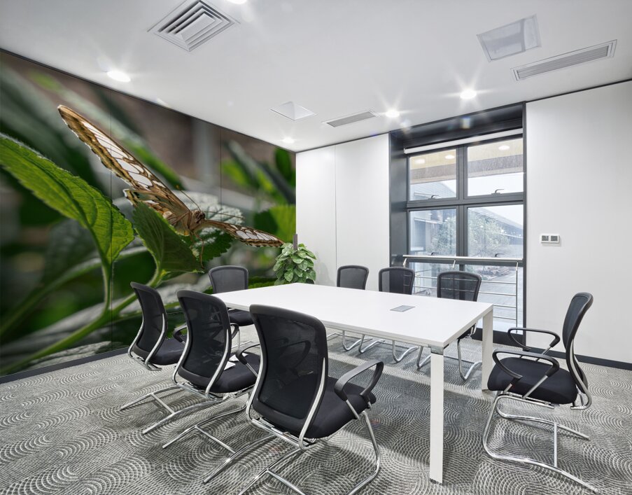 Check Out My Wings Wall Printing