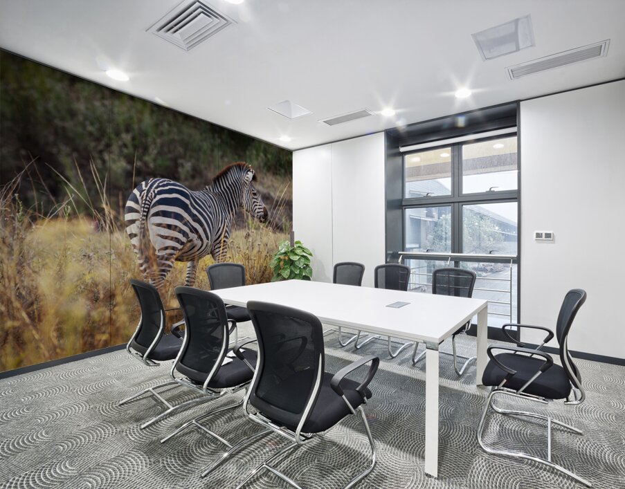 African zebra in the tall grass  Wall Printing