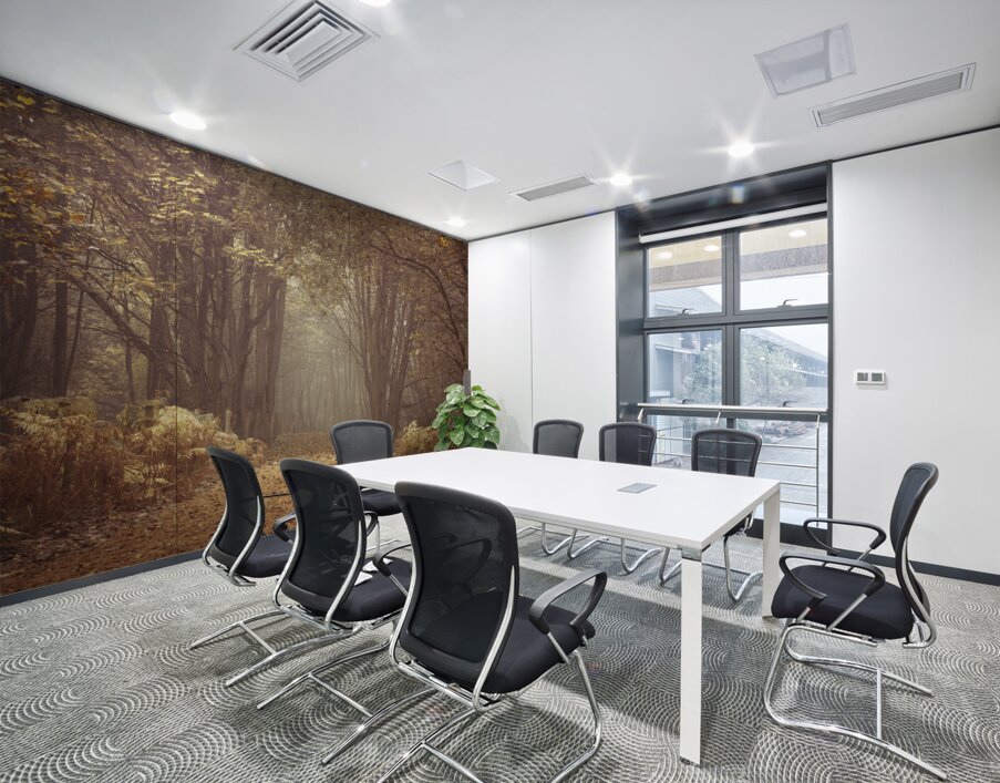 Forest Walkway Wall Printing