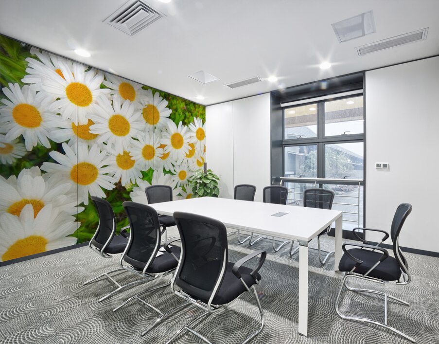 Shasta Daisies to Cheer You Up Wall Printing