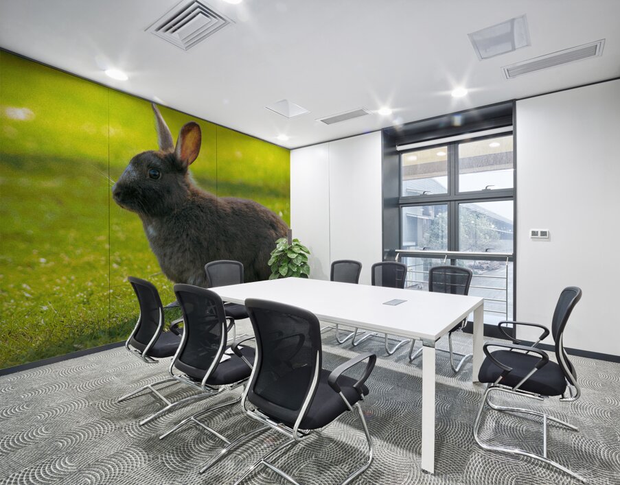  MG 8403 Wall Printing