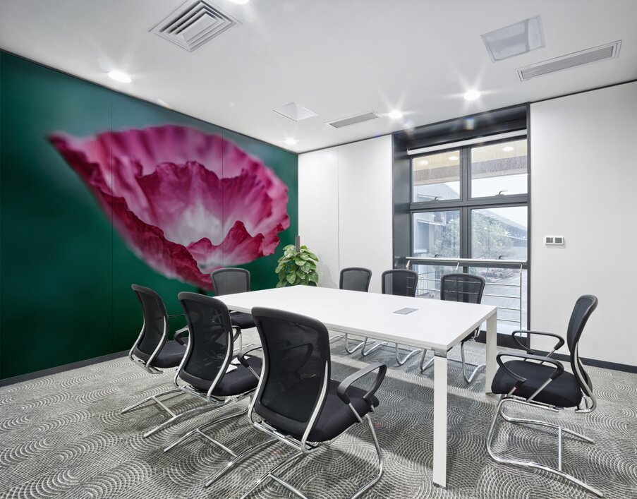 Scarlet Whispers: Close-Up Poppy Portraits Wall Printing