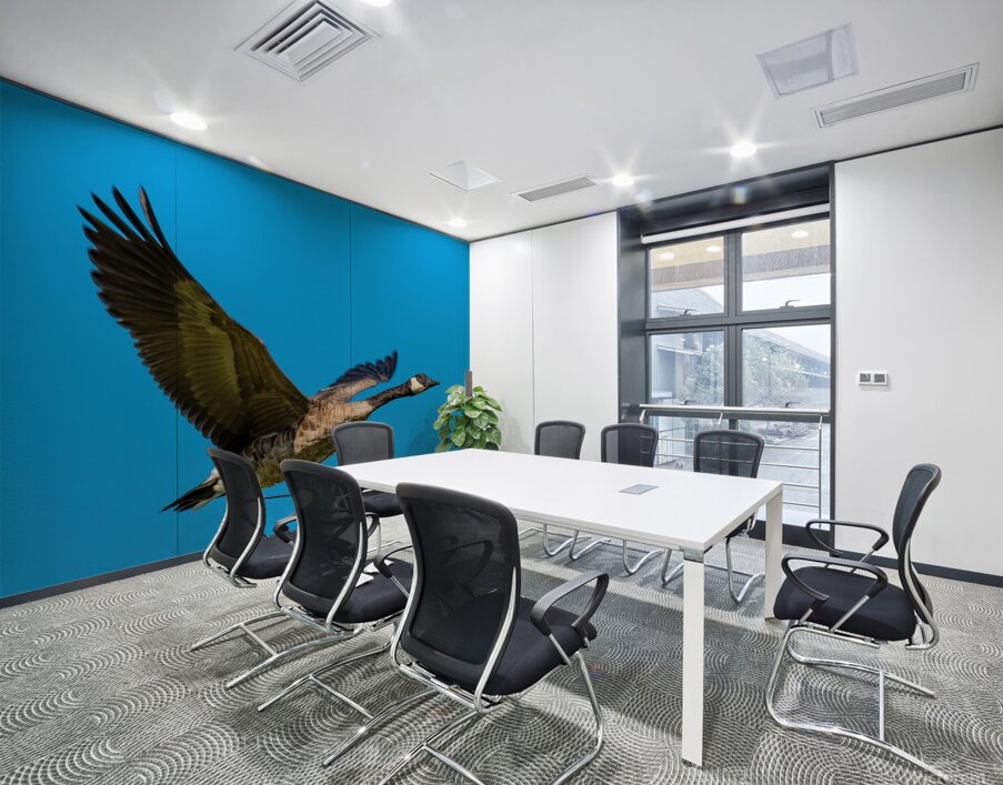 Canadian goose in flight Wall Printing