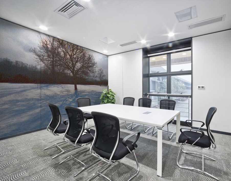 Walnut Tree Snow and Shadow OS Wall Printing