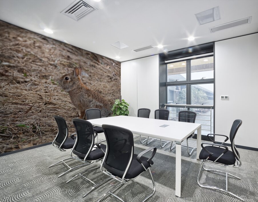 Rabbit Wall Printing