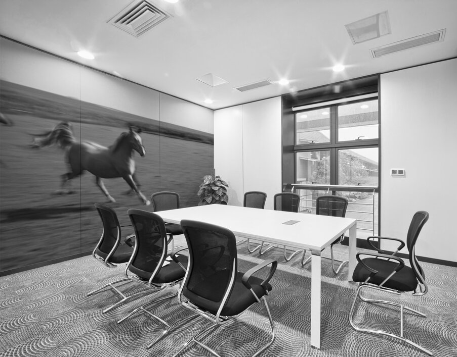 2 Arabian horses running on grassland Stelle Illinois USA 240617 Wall Printing