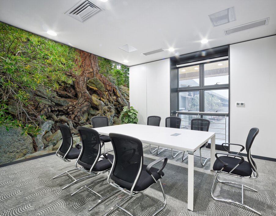 Lake Tahoe Gnarled  Root Tangle Wall Printing