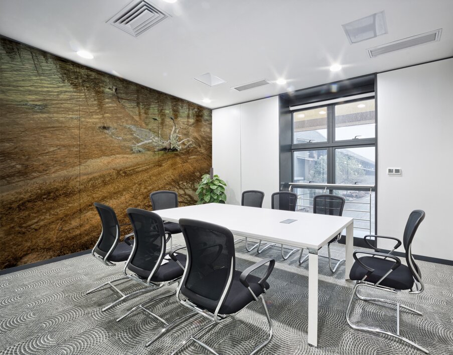 Yellowstone  Hot Springs Pool Tree Left Behind Wall Printing