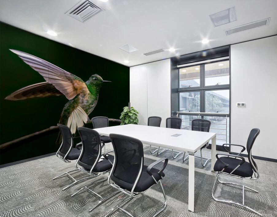 Buff Tailed Coronet Hummingbird Wall Printing