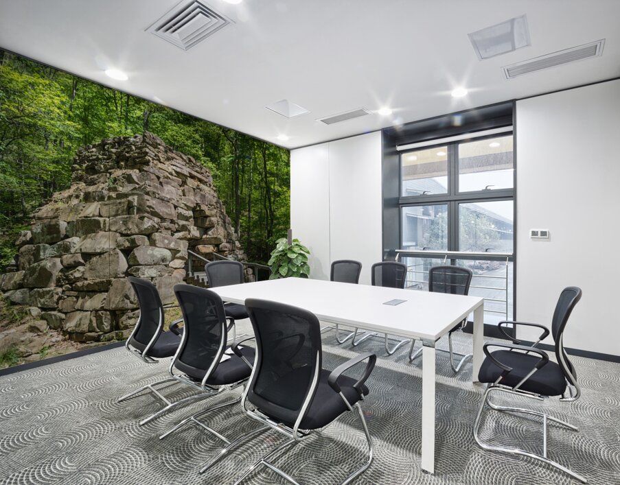Newlees Iron Furnace - Cumberland Gap National Park - Virginia Wall Printing