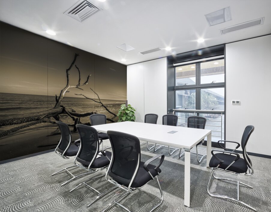 Hunting Island Beach Driftwood Shadows Wall Printing