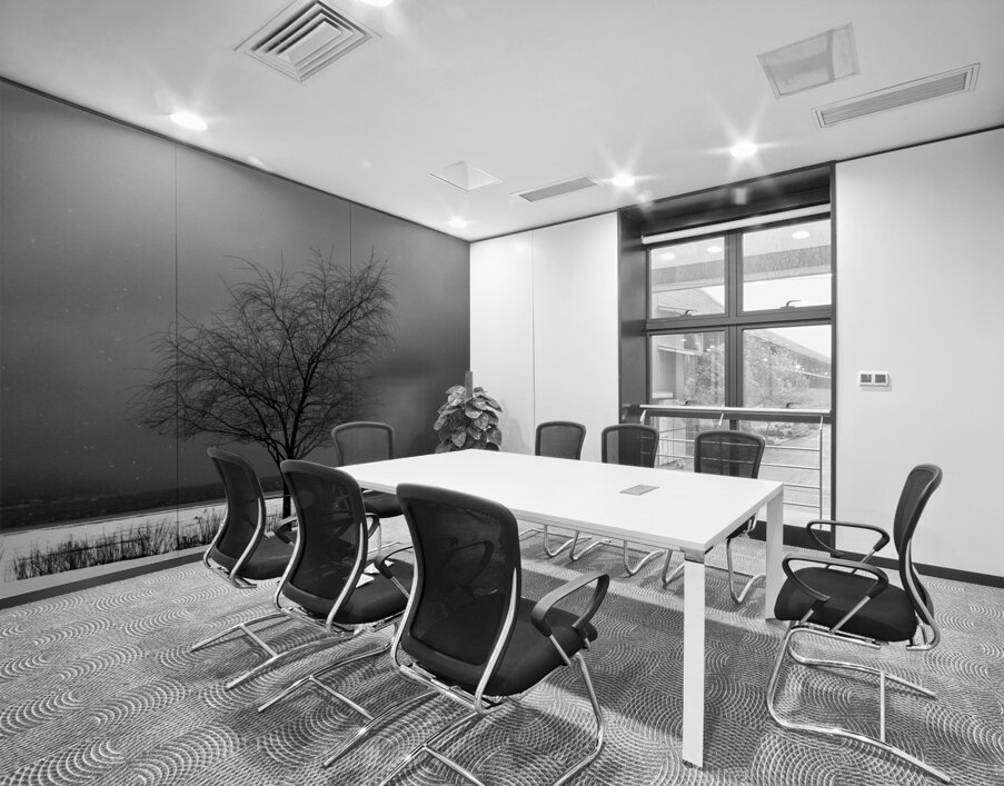 DSC 0274 Wall Printing