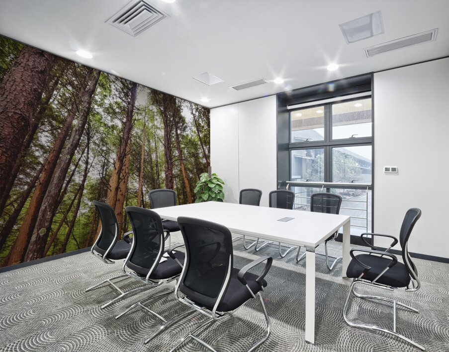 Redwoods Wall Printing