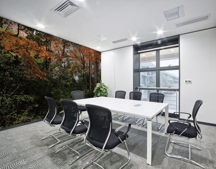 Hidden Trail in Autumn Leaves Wall Printing