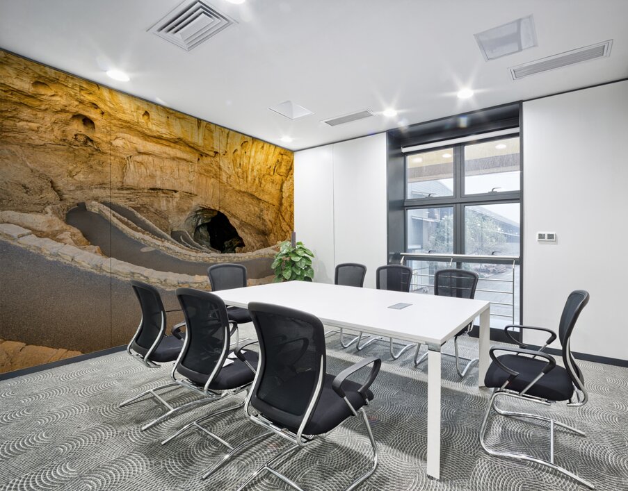 Path to Carlsbad Cavern Wall Printing