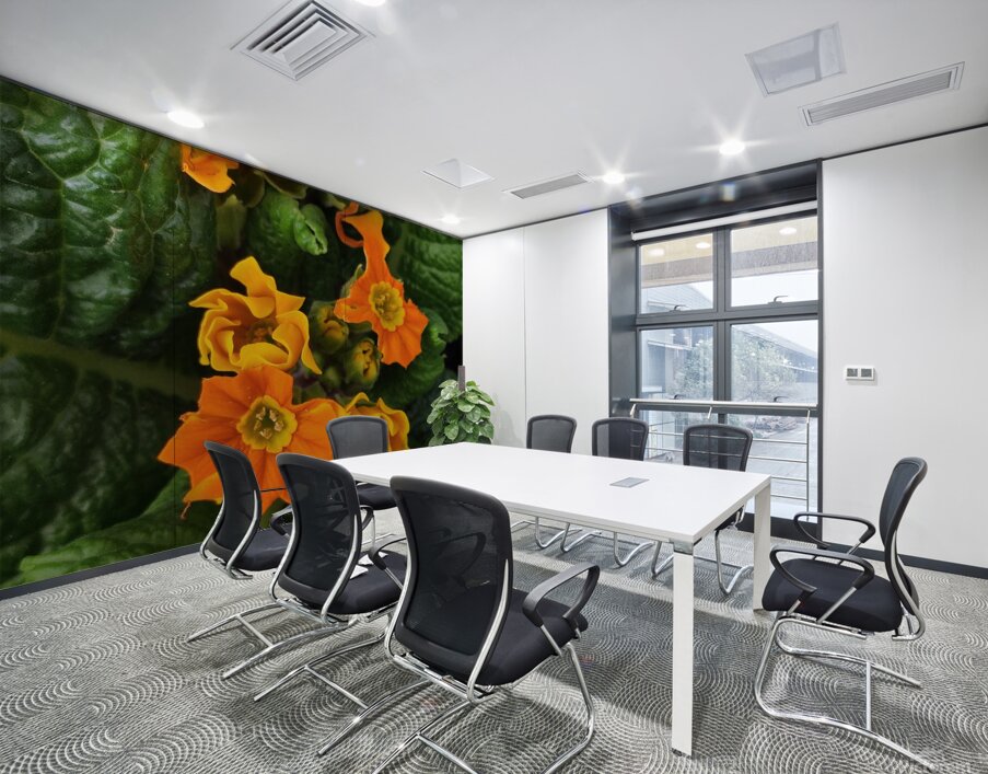 IMG 20240410 122004 Wall Printing