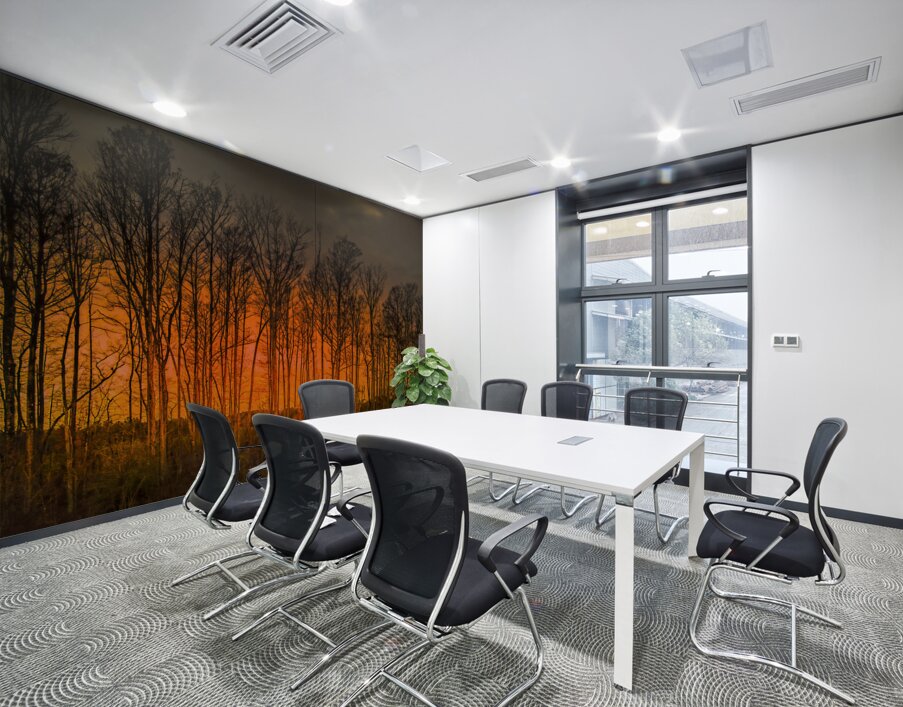 Georgia Forest Orange Sunset Silhouettes Wall Printing