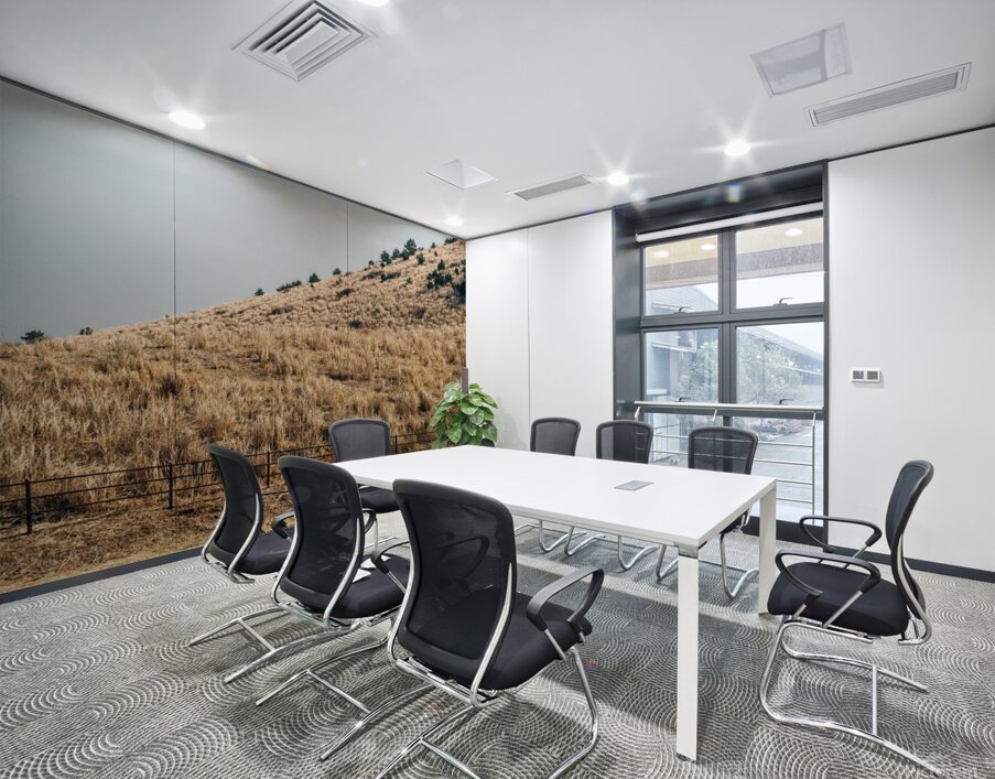 Horse on dry grass field Wall Printing